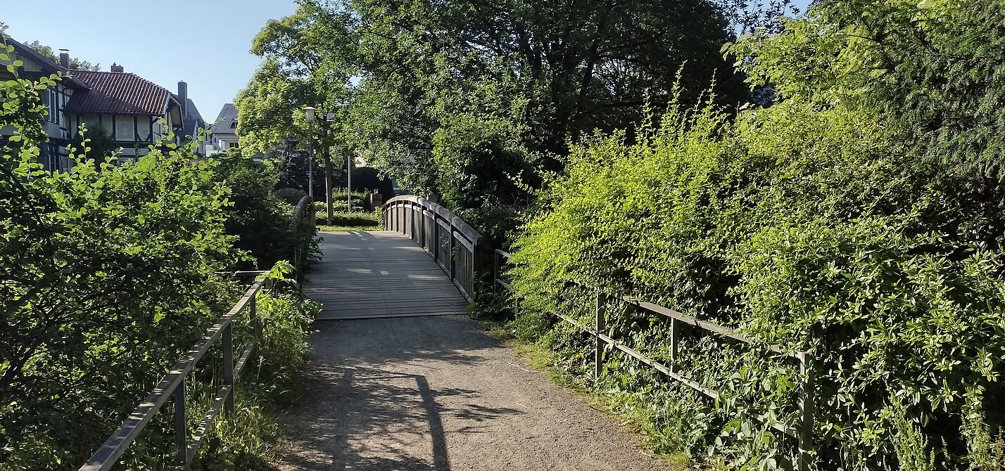 Schleichweg